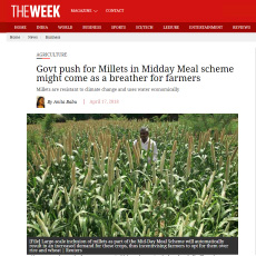 Millets in Midday Meal might come as a breather for farmers