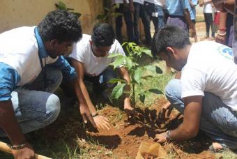 Volunteers in action