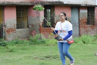 Sapling plantation in progress