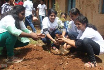 A sapling being carefully planted